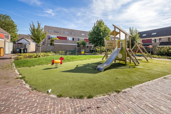 Foto 41 van Papaverveld 4