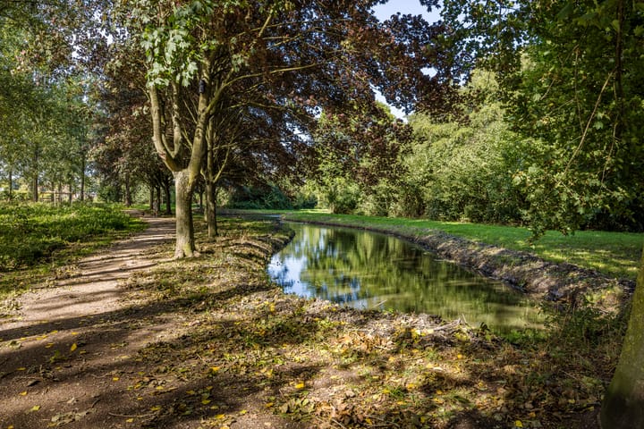 Foto 43 van Papaverveld 4