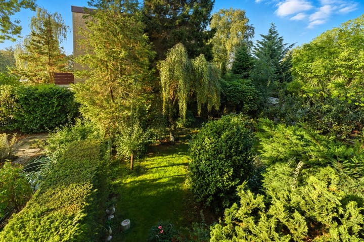 Foto 6 van Potgieterstraat 17