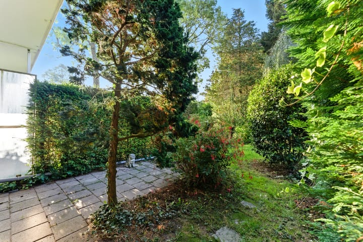 Foto 40 van Potgieterstraat 17