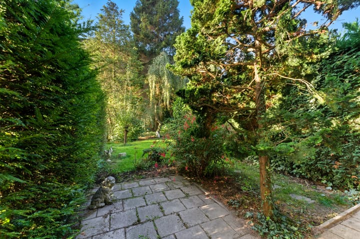 Foto 39 van Potgieterstraat 17