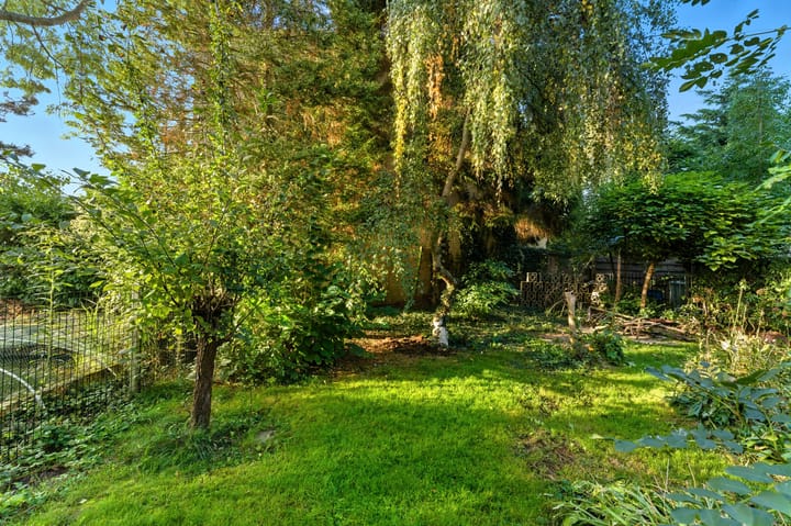 Foto 42 van Potgieterstraat 17