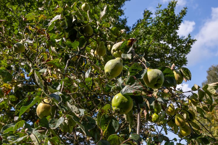 Photo 77 of Polveensweg 15