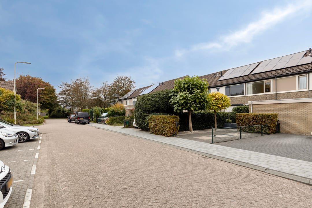 Foto 38 van Elisadonk 263