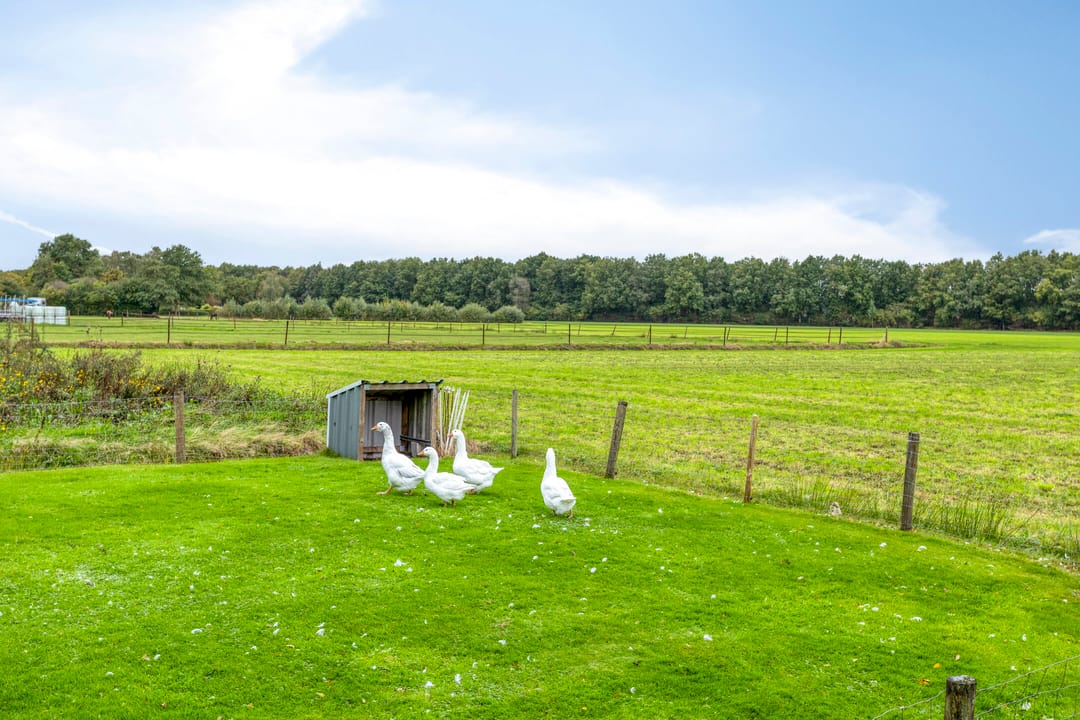 Foto 52 van Stokdijk 26