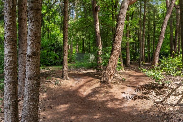 Photo 37 of Oranjeweg 78