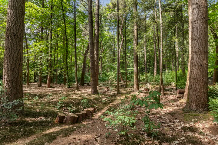 Photo 38 of Oranjeweg 78