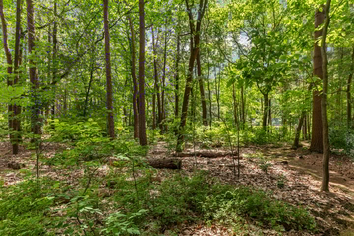 Photo 39 of Oranjeweg 78