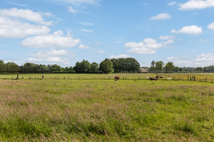 Photo 53 of Oranjeweg 78