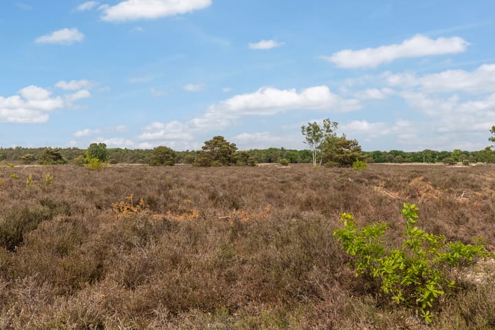 Photo 54 of Oranjeweg 78