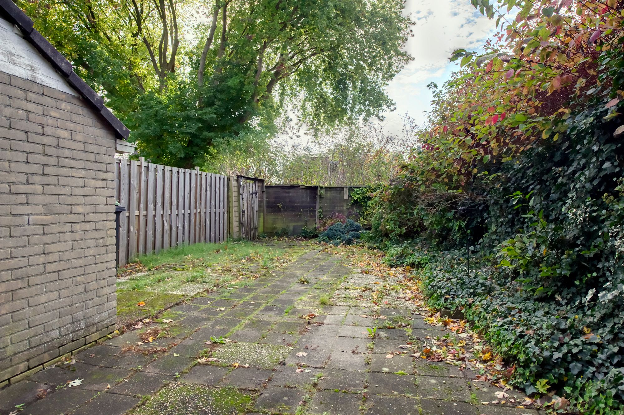 Foto 6 van Komeet 36