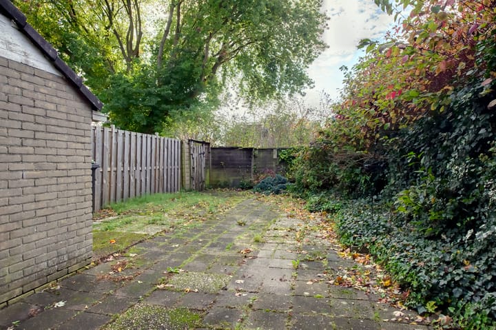 Foto 6 van Komeet 36