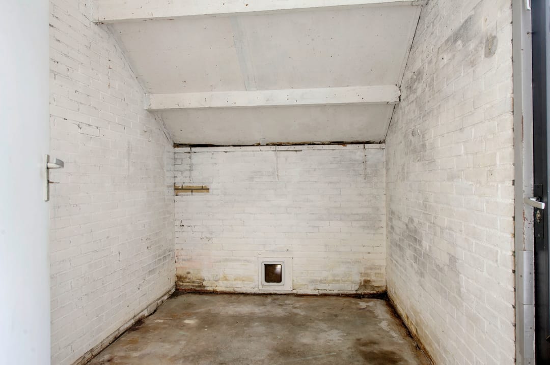 Foto 16 van Komeet 36