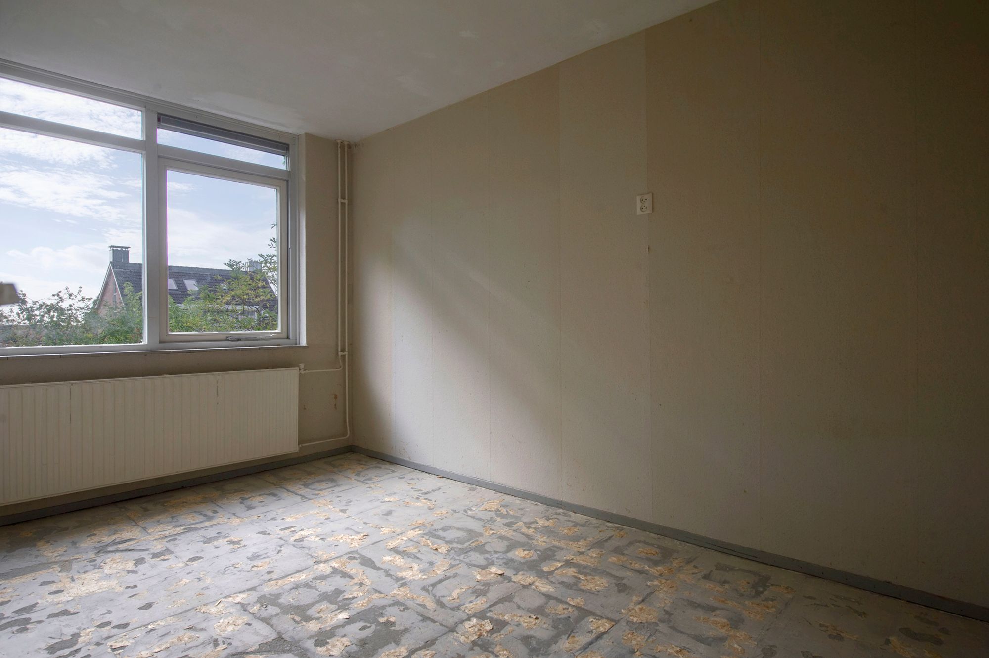 Foto 18 van Komeet 36