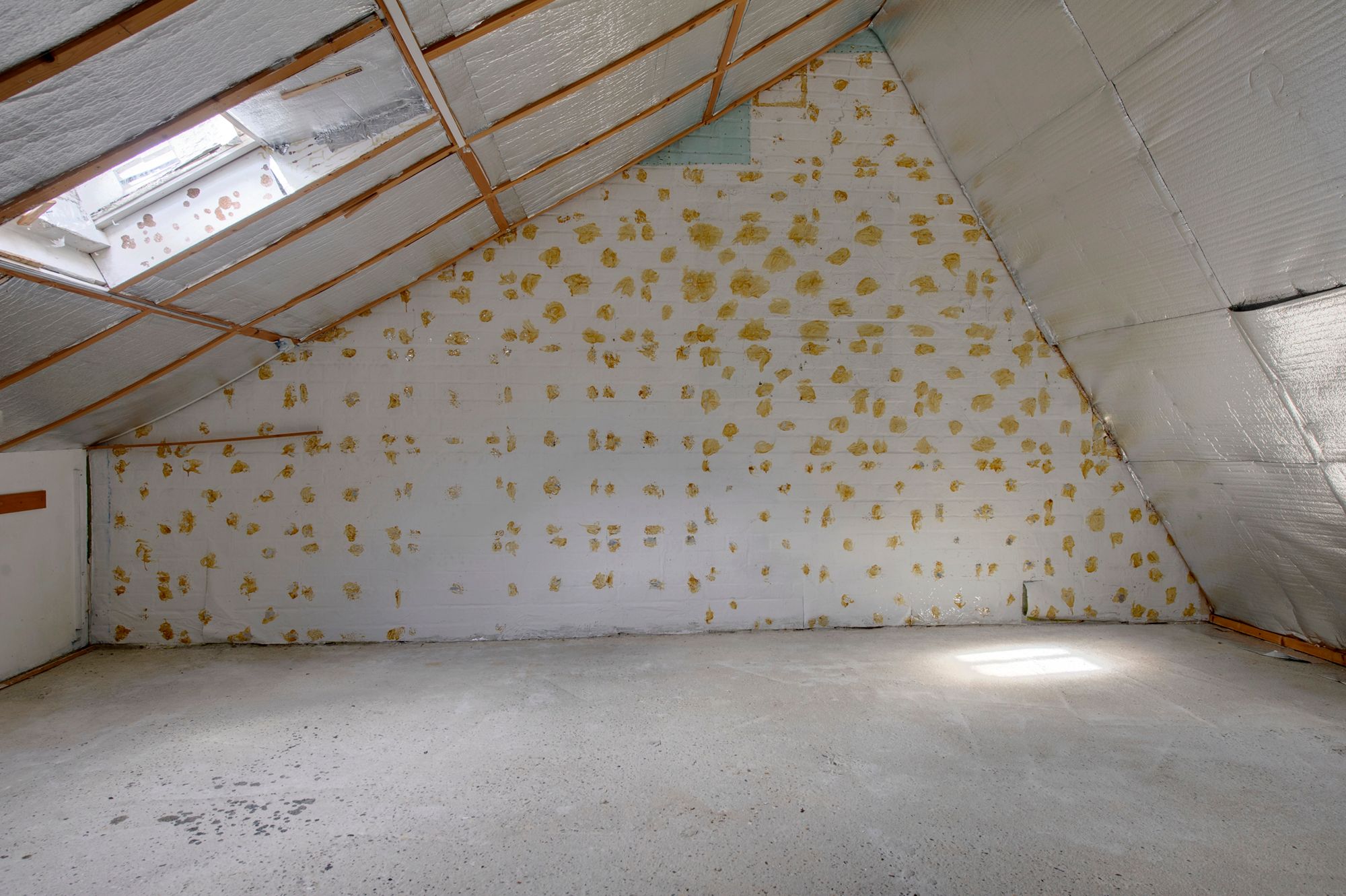 Foto 21 van Komeet 36