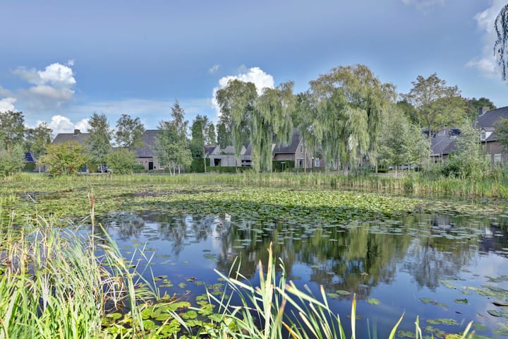 Foto 3 van Schalluine 4