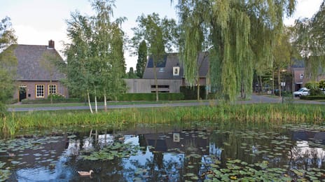 Schalluine 4 tertiary image