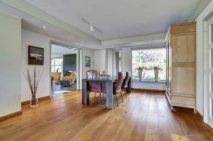 Foto 11 van Schalluine 4