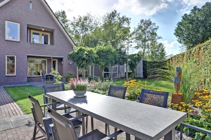 Foto 38 van Schalluine 4