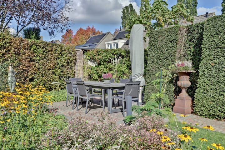 Foto 39 van Schalluine 4