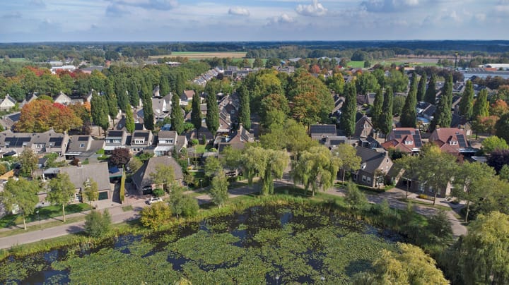 Foto 45 van Schalluine 4