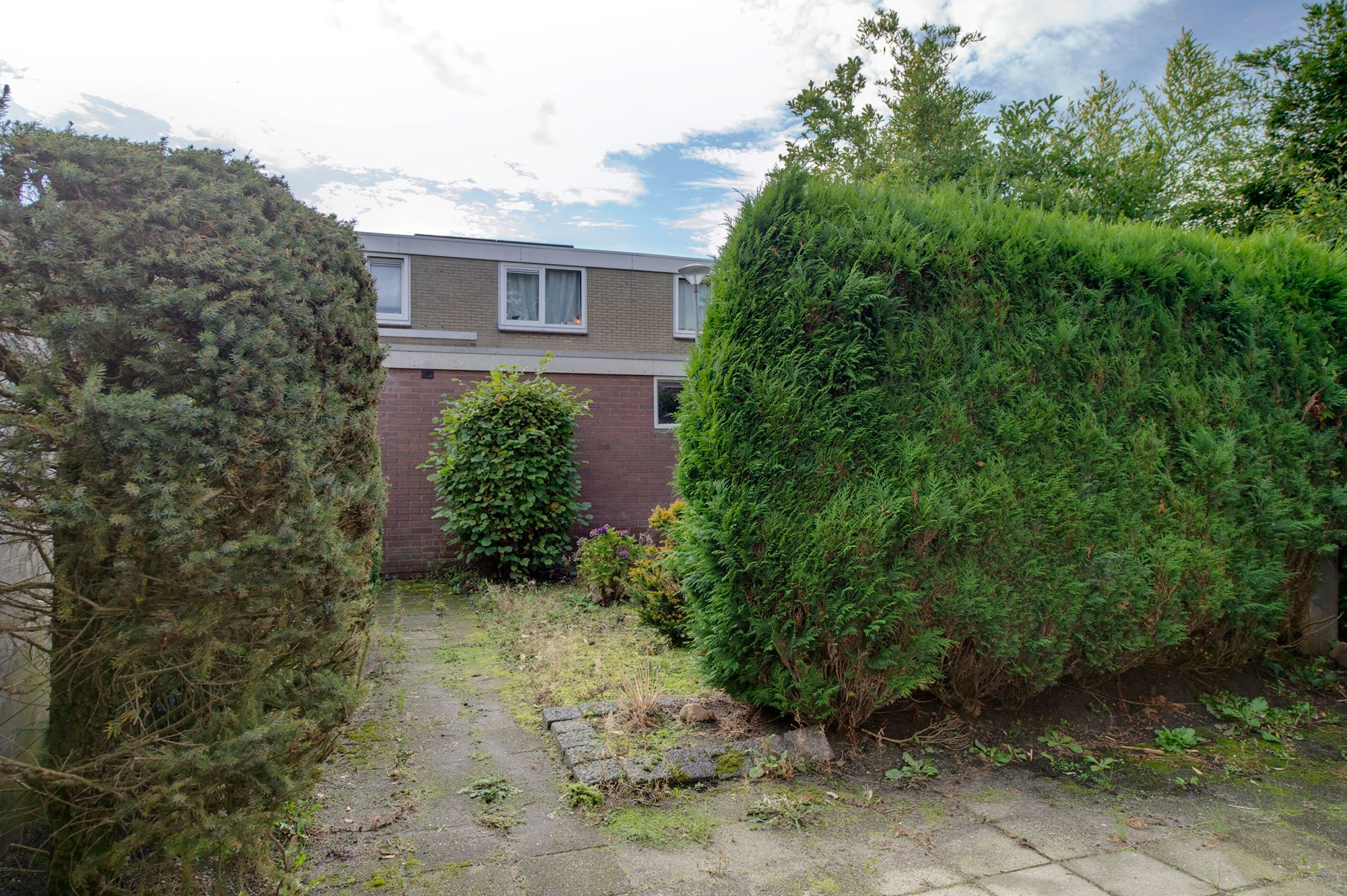 Photo 6 of Boogschutter 50