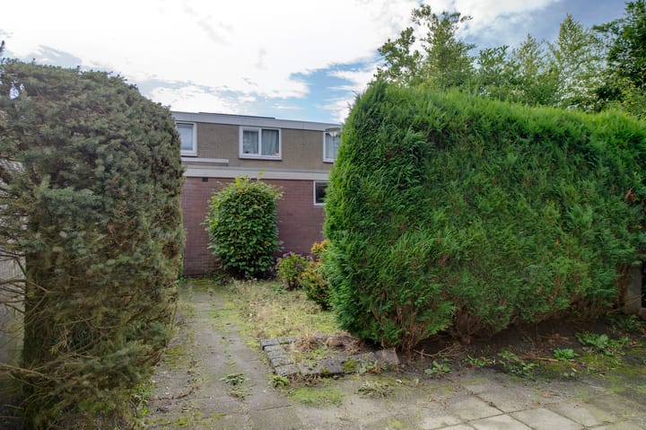 Foto 6 van Boogschutter 50