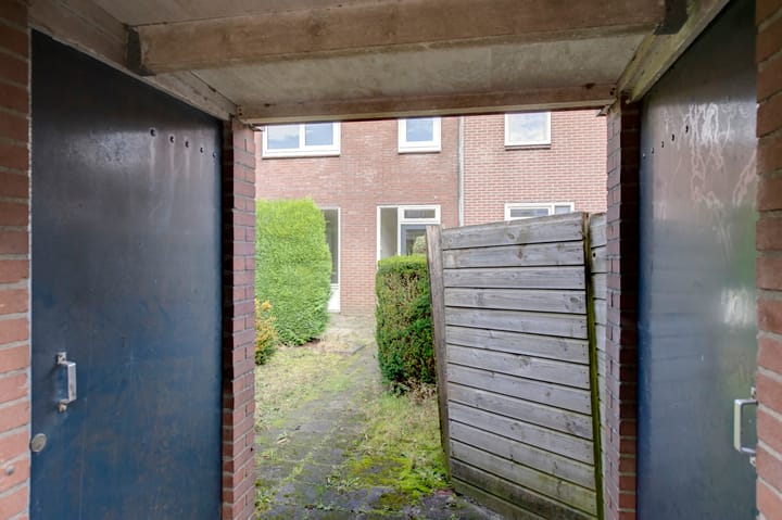 Foto 7 van Boogschutter 50