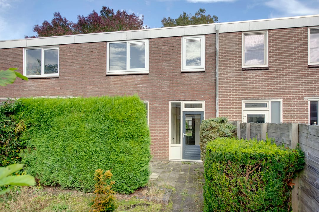 Photo 8 of Boogschutter 50