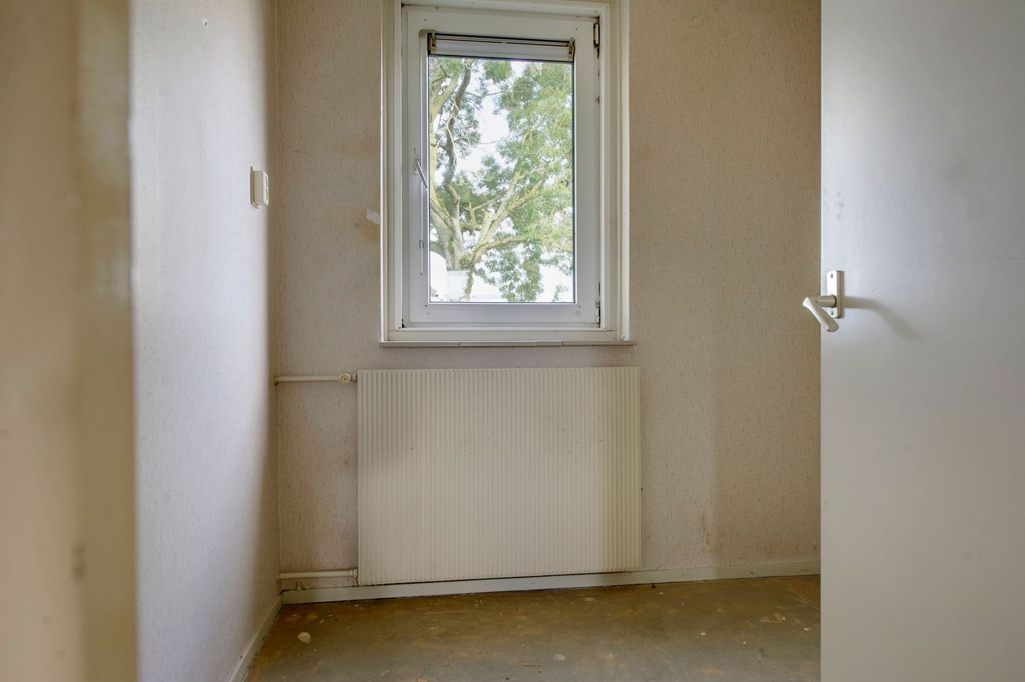 Photo 20 of Boogschutter 50