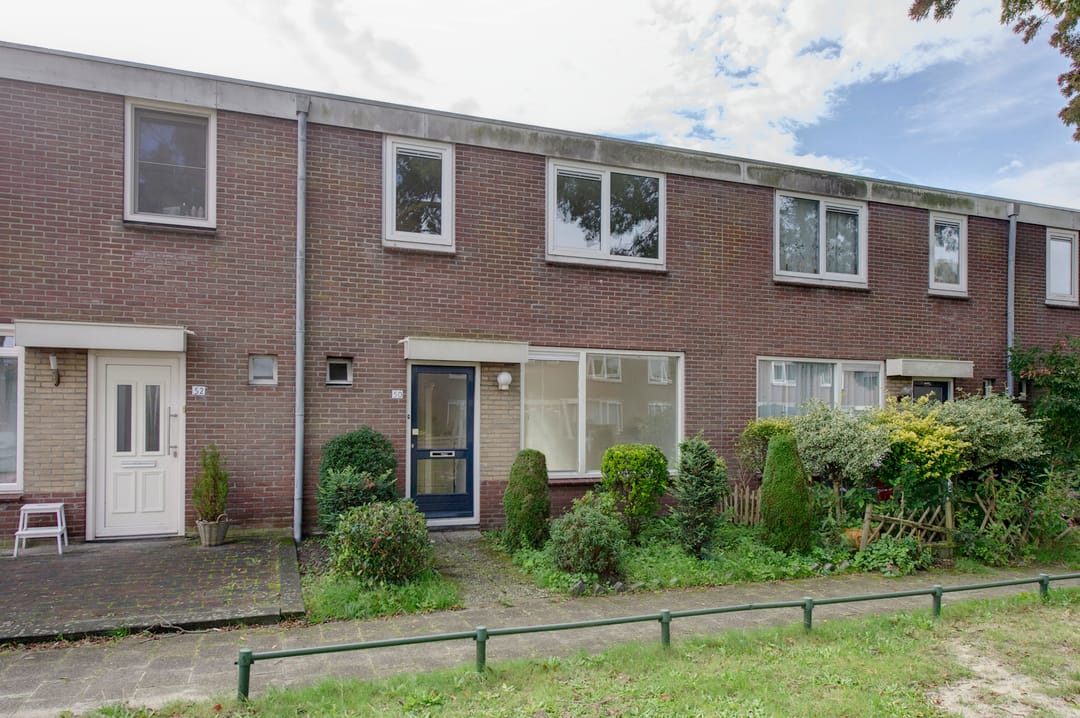 Photo 2 of Boogschutter 50