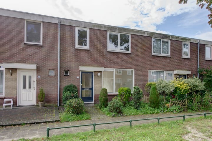 Foto 2 van Boogschutter 50