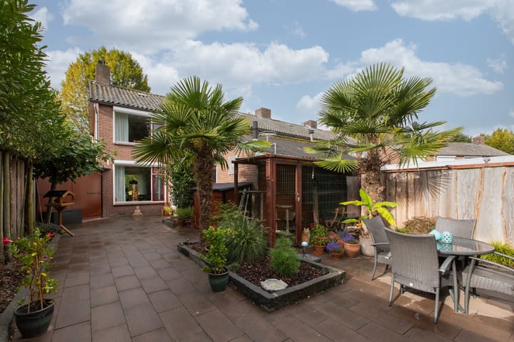 Foto 6 van Witte Kruis 21