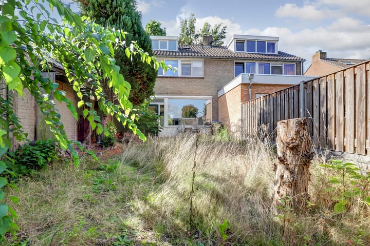 Foto 38 van Triangelstraat 95