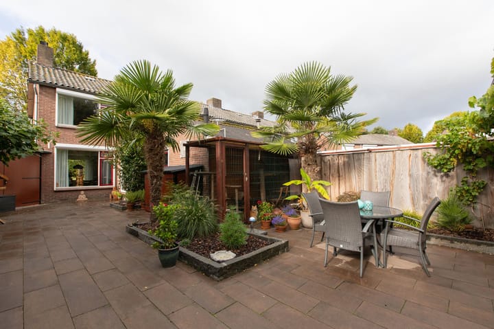 Foto 63 van Witte Kruis 21