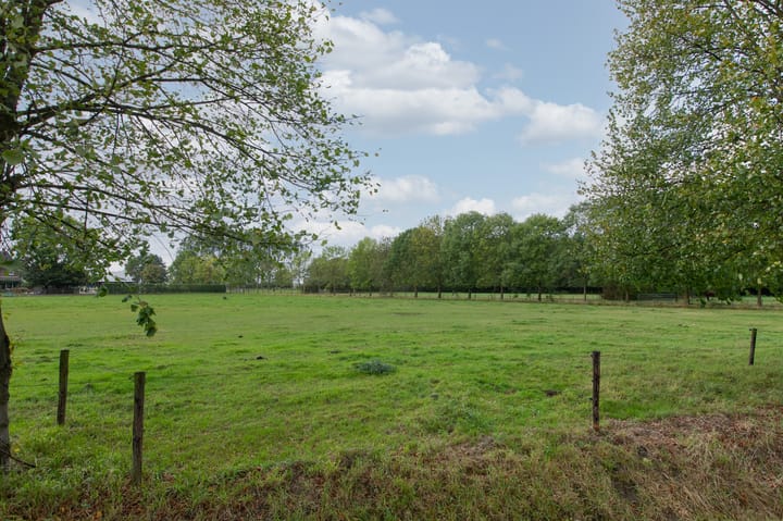 Foto 65 van Witte Kruis 21