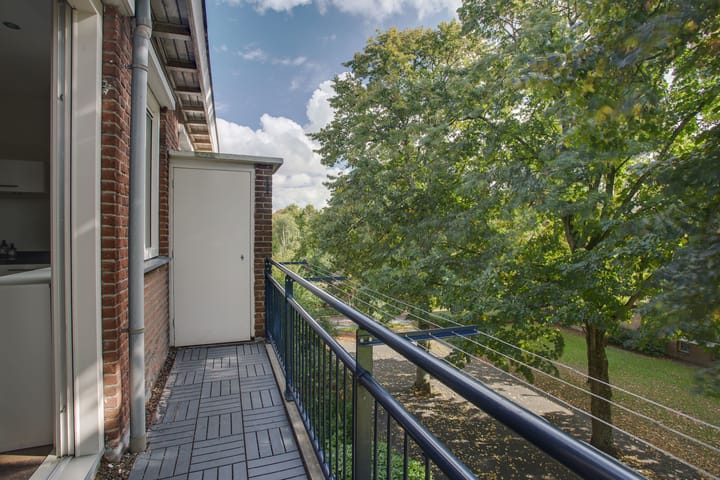 Foto 17 van Frans Halskade 205