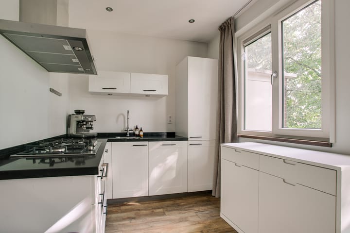 Foto 20 van Frans Halskade 205