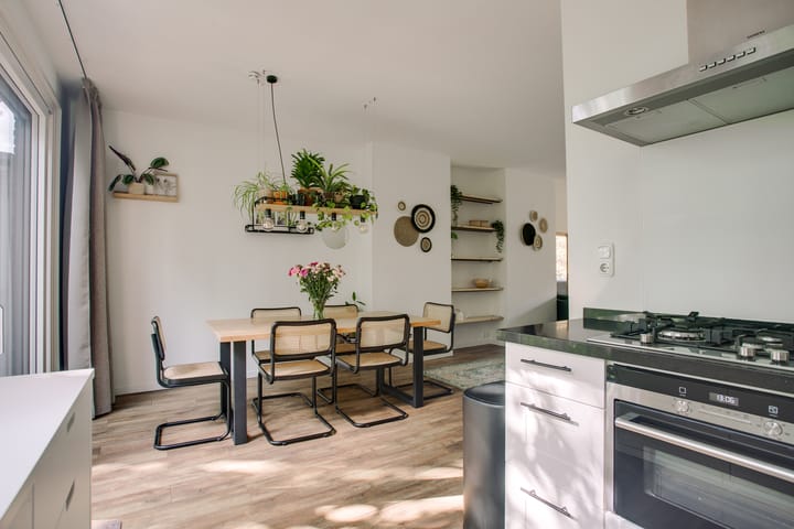 Foto 21 van Frans Halskade 205