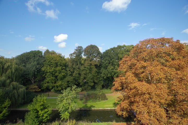 Foto 34 van Frans Halskade 205