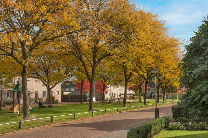 Foto 3 van Reigerstraat 64