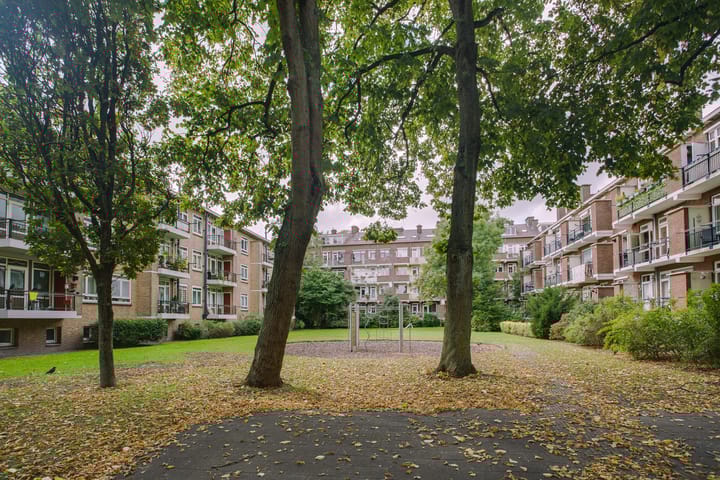 Foto 36 van Frans Halskade 205