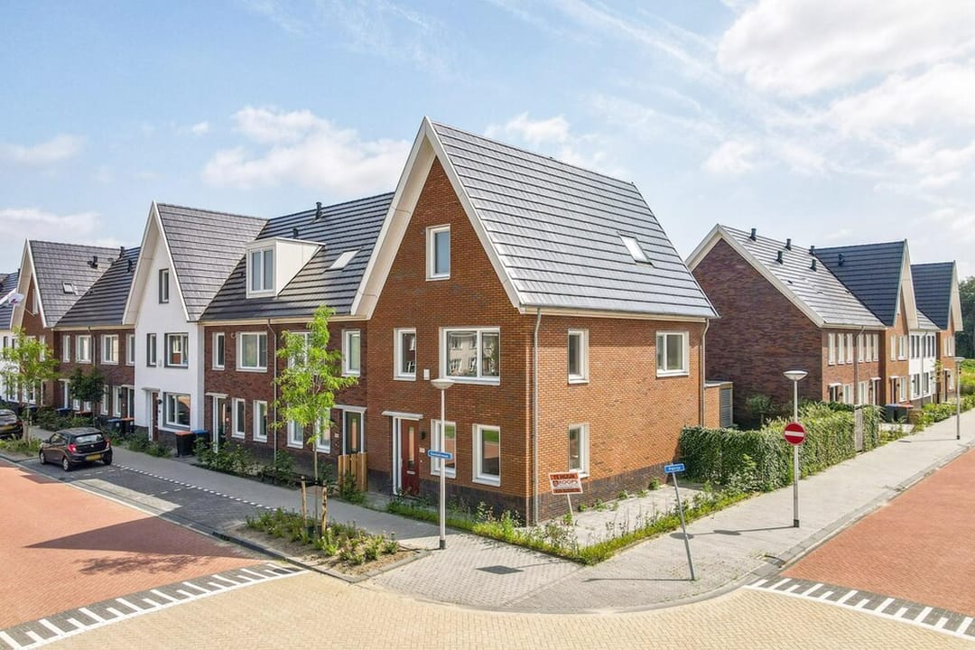 Foto 2 van Knobbelzwaan 121