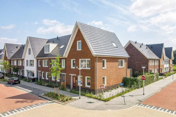 Foto 2 van Knobbelzwaan 121