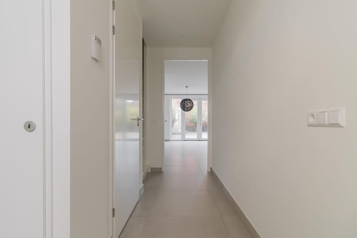 Foto 3 van Knobbelzwaan 121