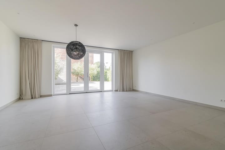 Foto 5 van Knobbelzwaan 121