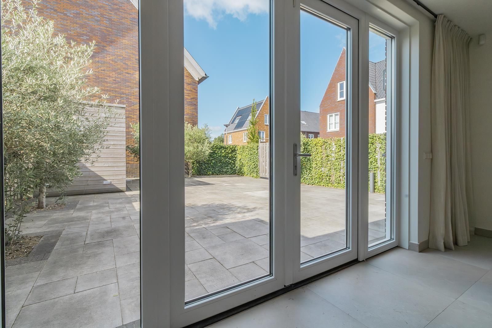 Foto 12 van Knobbelzwaan 121