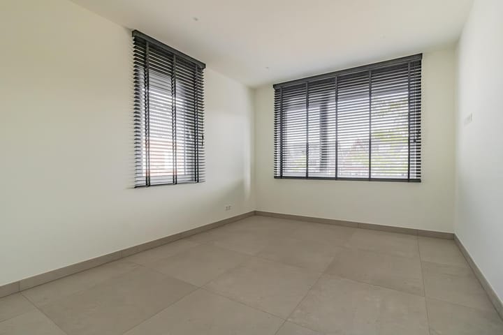 Foto 13 van Knobbelzwaan 121