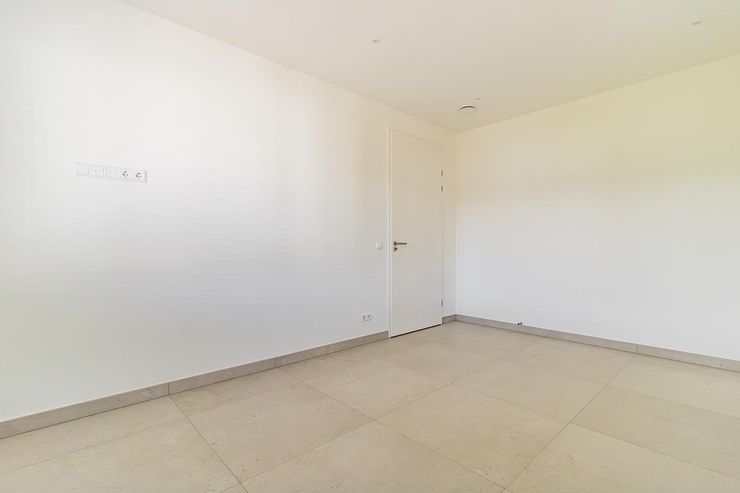 Foto 14 van Knobbelzwaan 121