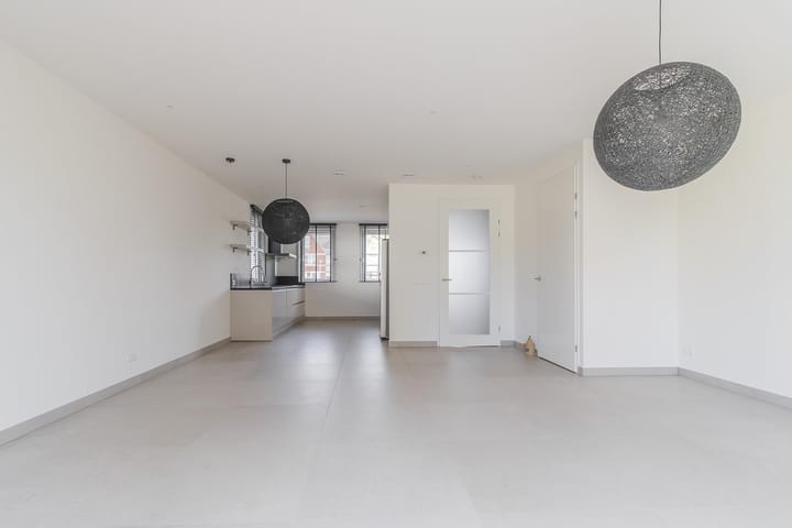 Foto 8 van Knobbelzwaan 121